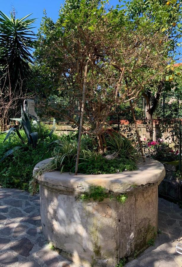 Itaca B&B Piano di Sorrento Exteriér fotografie