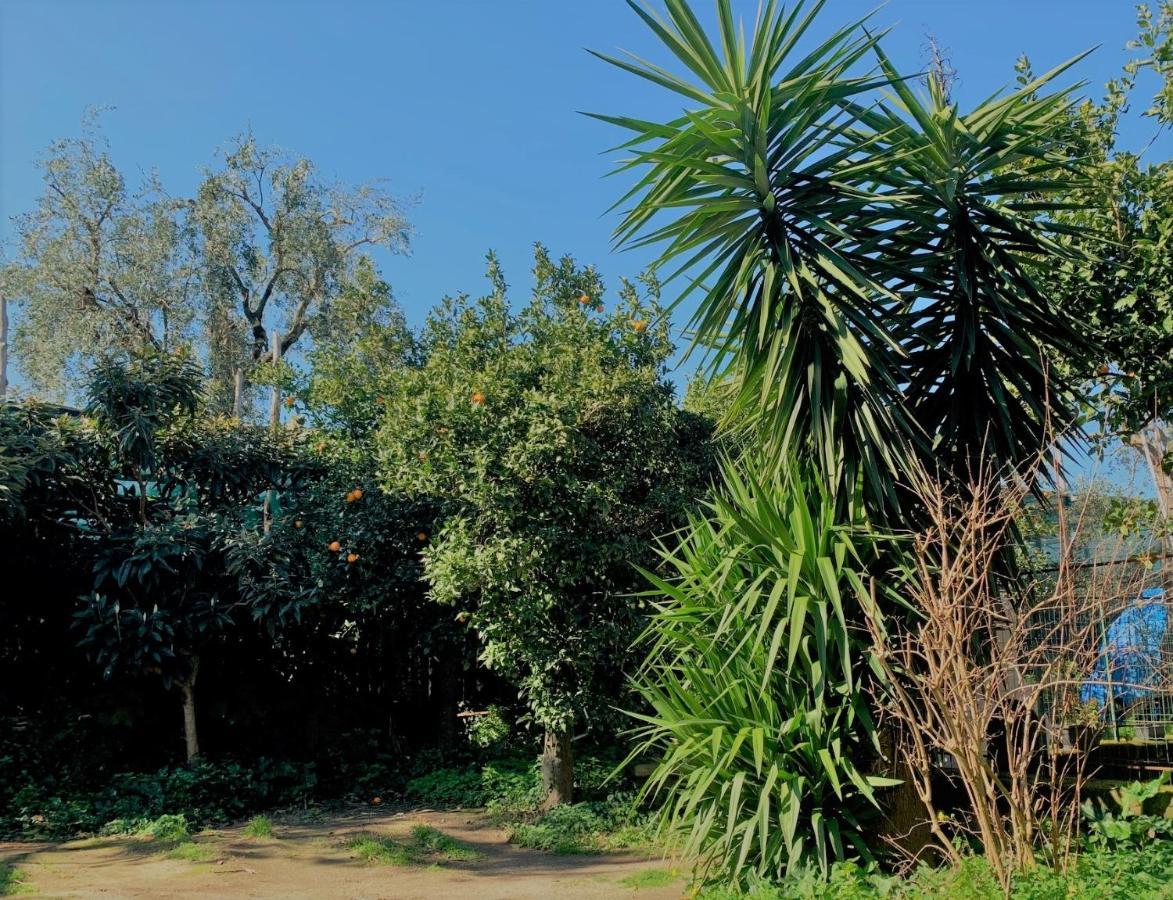 Itaca B&B Piano di Sorrento Exteriér fotografie