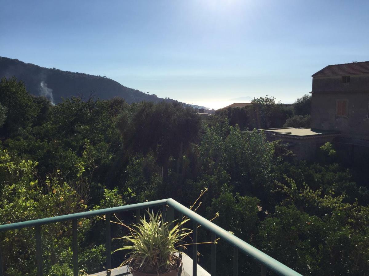 Itaca B&B Piano di Sorrento Exteriér fotografie