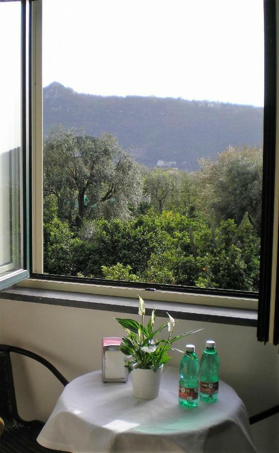 Itaca B&B Piano di Sorrento Exteriér fotografie