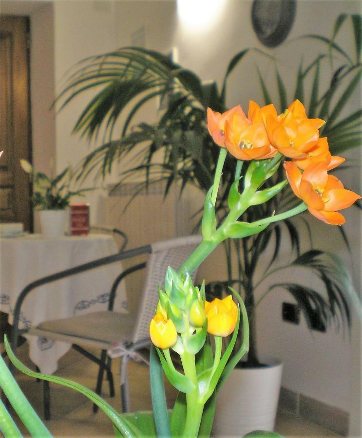 Itaca B&B Piano di Sorrento Exteriér fotografie