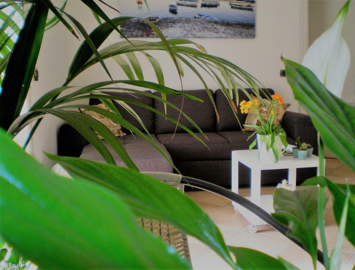 Itaca B&B Piano di Sorrento Exteriér fotografie