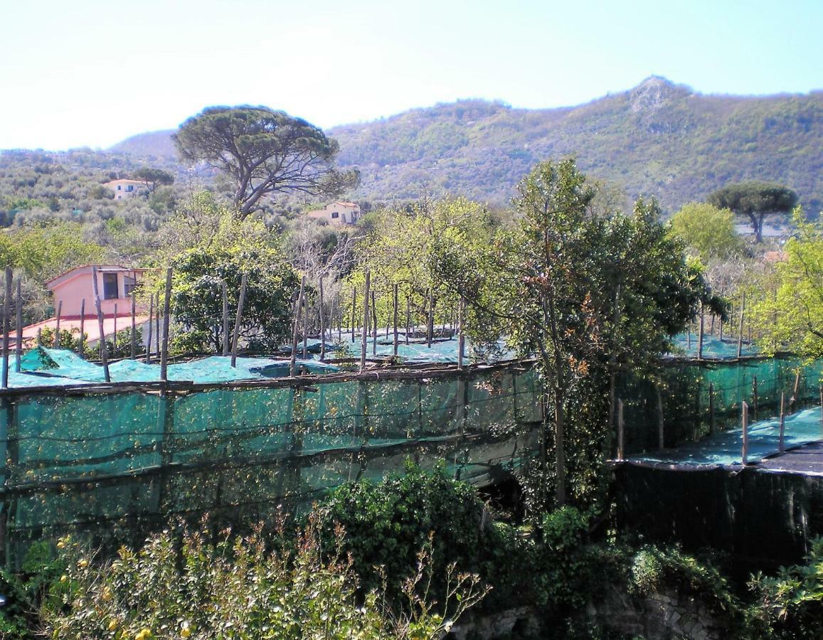 Itaca B&B Piano di Sorrento Exteriér fotografie