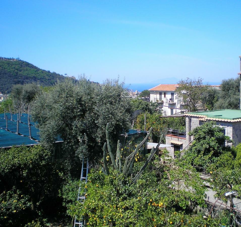 Itaca B&B Piano di Sorrento Exteriér fotografie